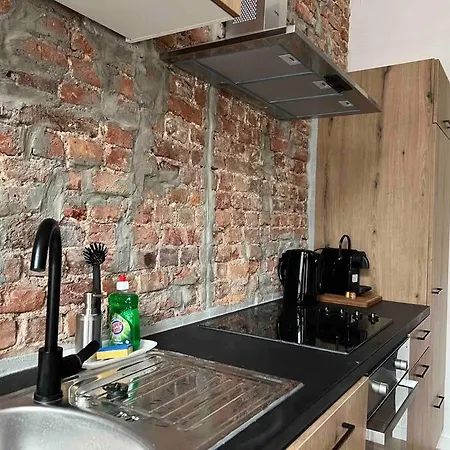 Le Aux Briques Rouges - Coeur Historique לייז'