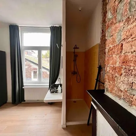 Le Aux Briques Rouges - Coeur Historique *