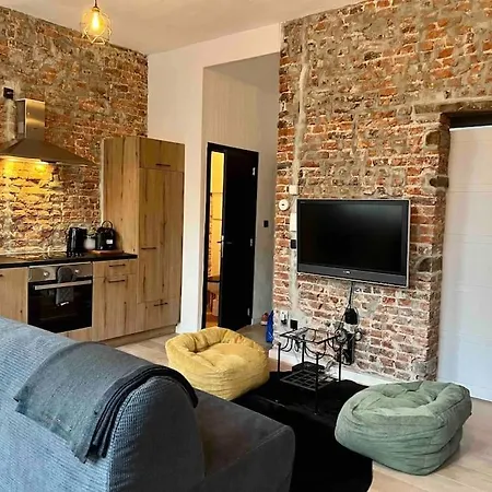 Le Aux Briques Rouges - Coeur Historique דירה לייז'