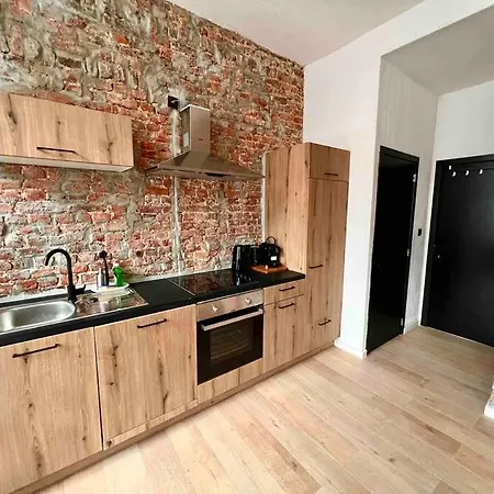 Apartment Le Aux Briques Rouges - Coeur Historique *