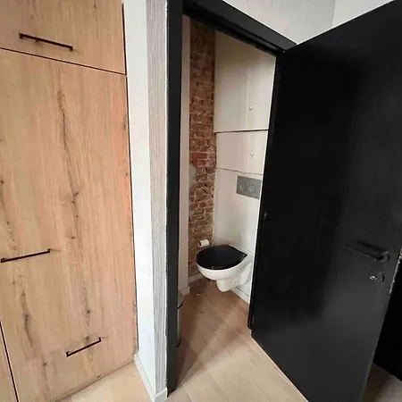 Le Aux Briques Rouges - Coeur Historique Apartment *