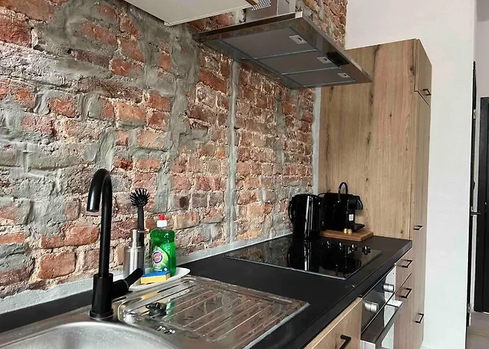 Le Aux Briques Rouges - Coeur Historique Λιέγη