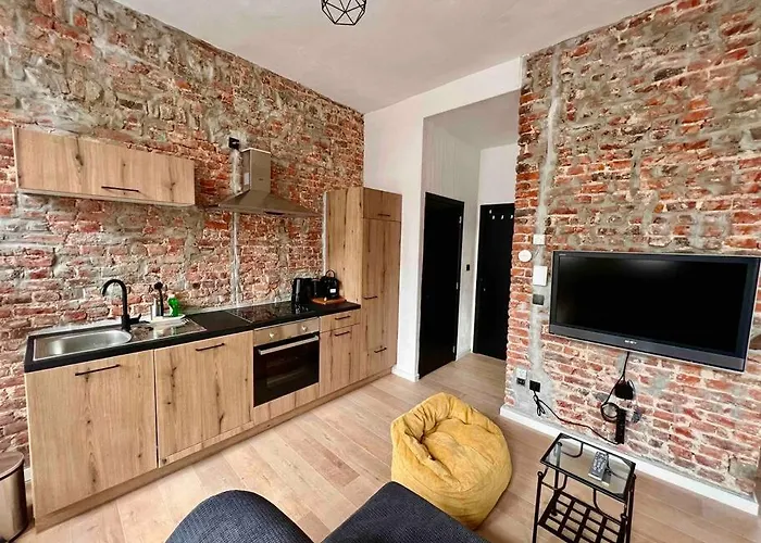 Appartement Le Aux Briques Rouges - Coeur Historique Liège