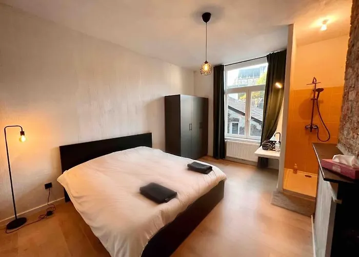 Appartement Le Aux Briques Rouges - Coeur Historique