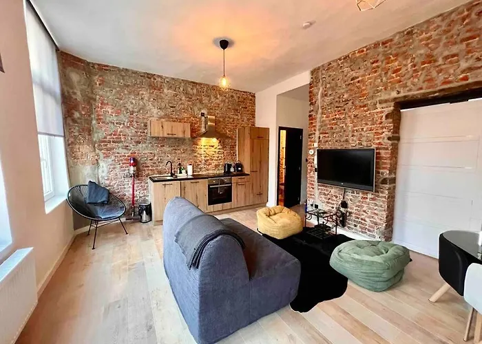 Διαμέρισμα Le Aux Briques Rouges - Coeur Historique Λιέγη