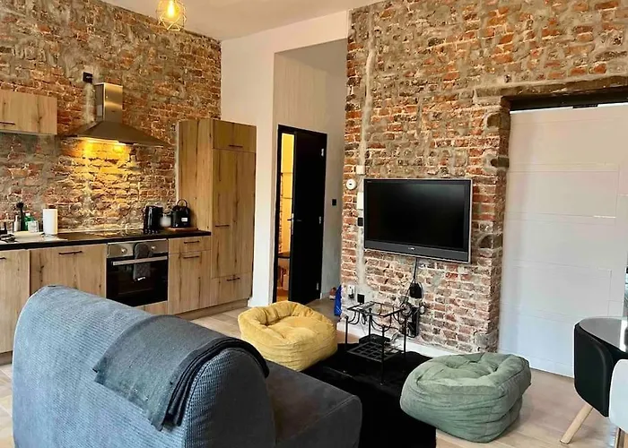 Le Aux Briques Rouges - Coeur Historique Appartement Liège