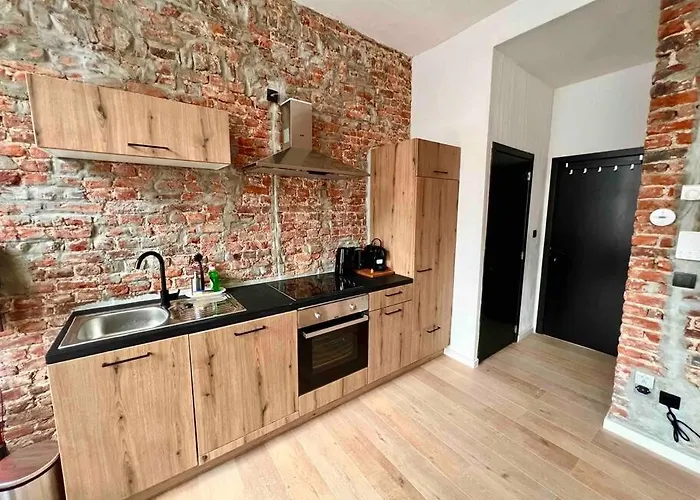 Appartement Le Aux Briques Rouges - Coeur Historique *