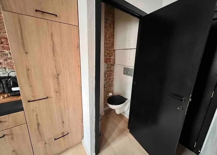 Le Aux Briques Rouges - Coeur Historique Διαμέρισμα *