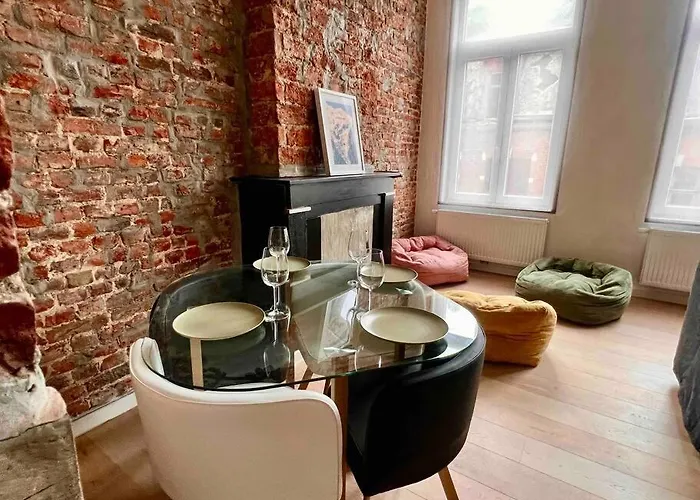 Appartement Le Aux Briques Rouges - Coeur Historique