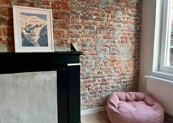 Appartement Le Aux Briques Rouges - Coeur Historique *